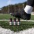 Organic beetroot ginger lemon shot for sport performance – Organiczny shot z buraka, imbiru i cytryny dla sportu